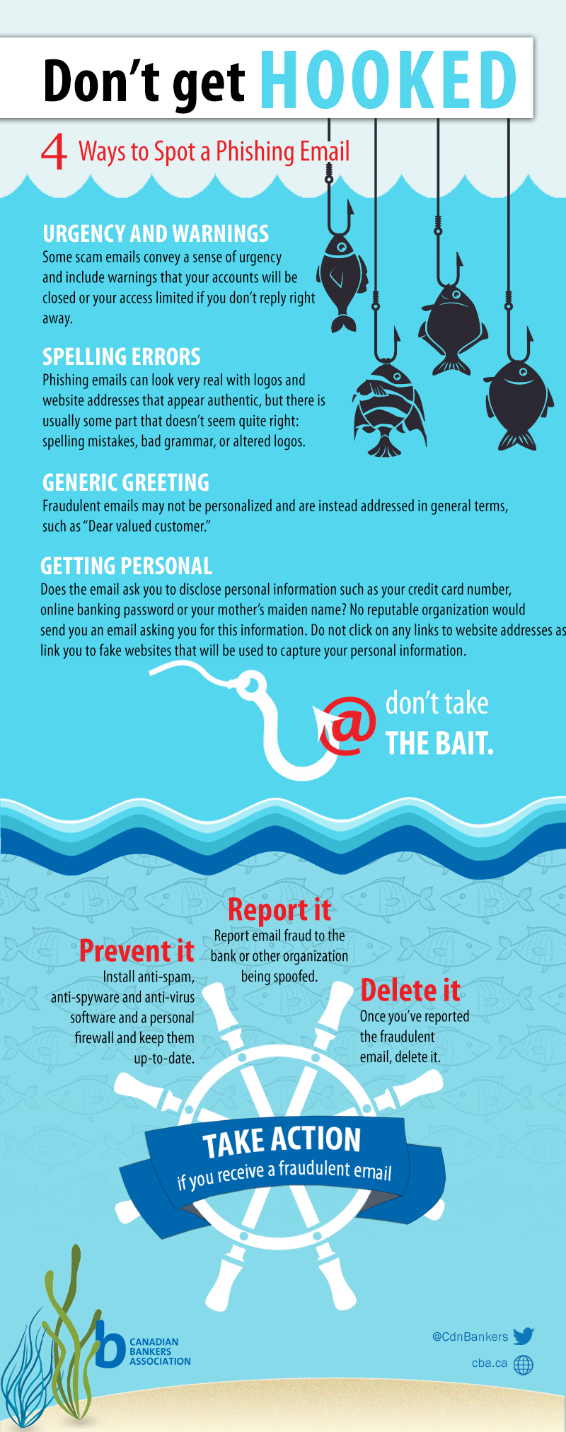 infographic - don