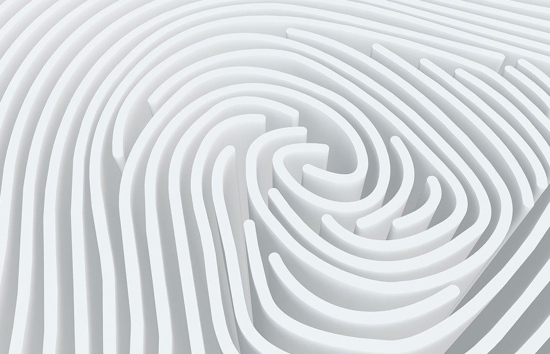 white fingerprint maze